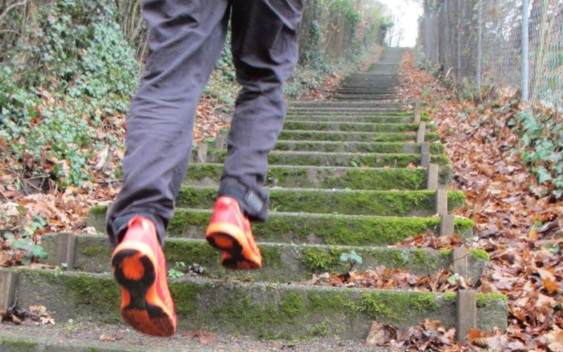 Das Bild zeigt eine Person, die in sportlicher Kleidung eine mit Moos bewachsene Treppe hinaufläuft. Die Umgebung ist herbstlich, mit Laub bedecktem Boden und dichtem Grün an den Seiten.